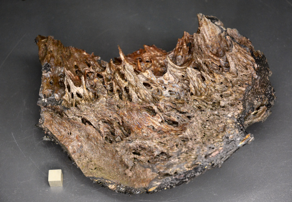 Сотрудники Минералогического музея ИРНИТУ представили образцы застывшей лавы на лекции об итогах камчатской экспедиции